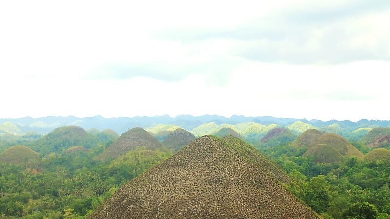 the chocolate hills of Bohol