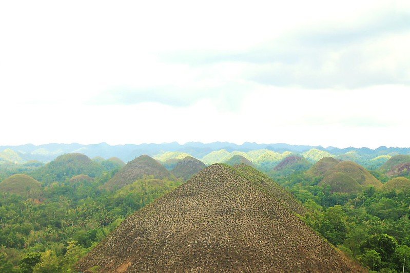 the chocolate hills of Bohol
