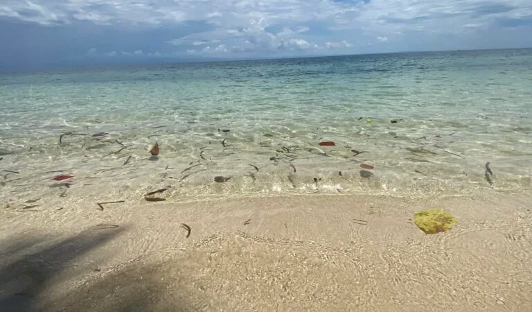 Obenza white sand resort, the footprints in the sand